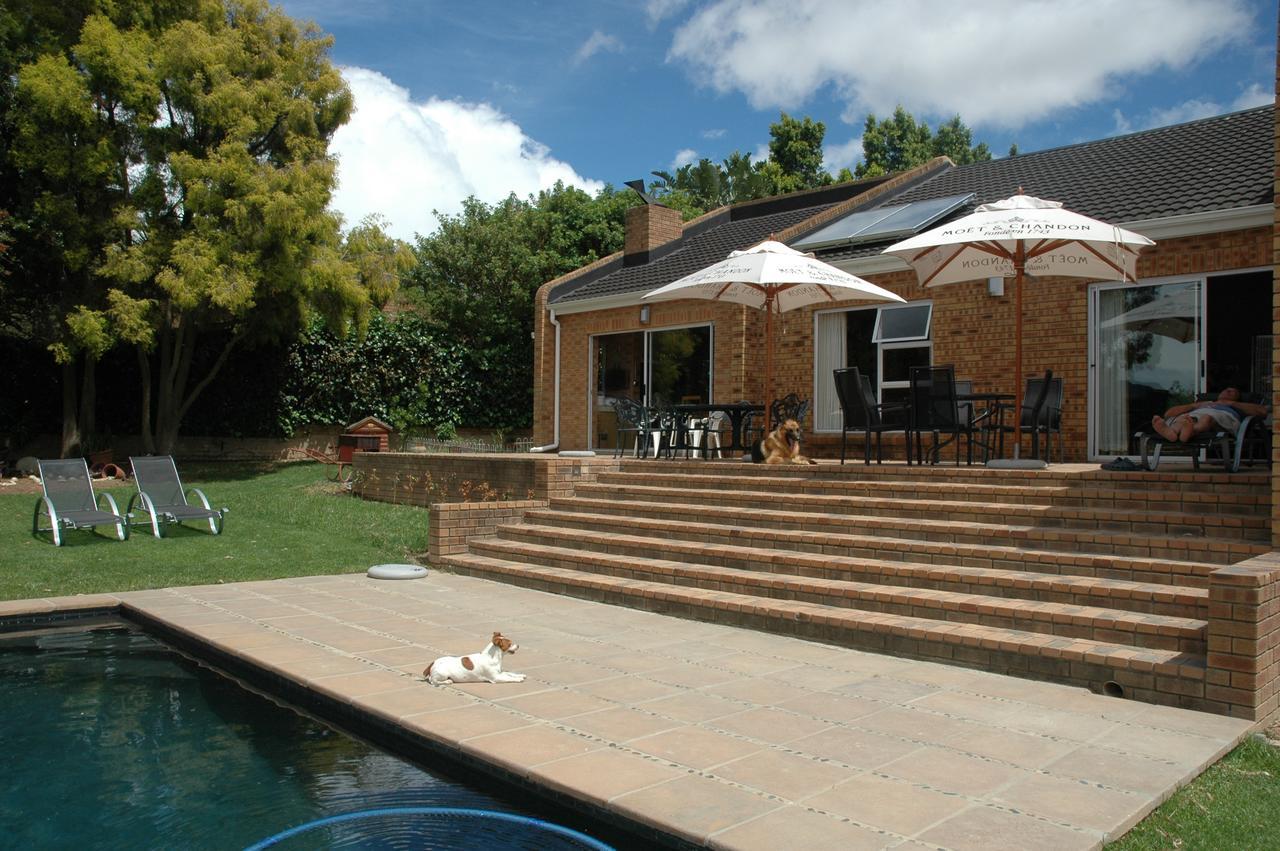 Edelweiss Bed & Breakfast Στέλενμπος Εξωτερικό φωτογραφία